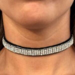 NWT Amrita Singh Austrian Crystal necklace